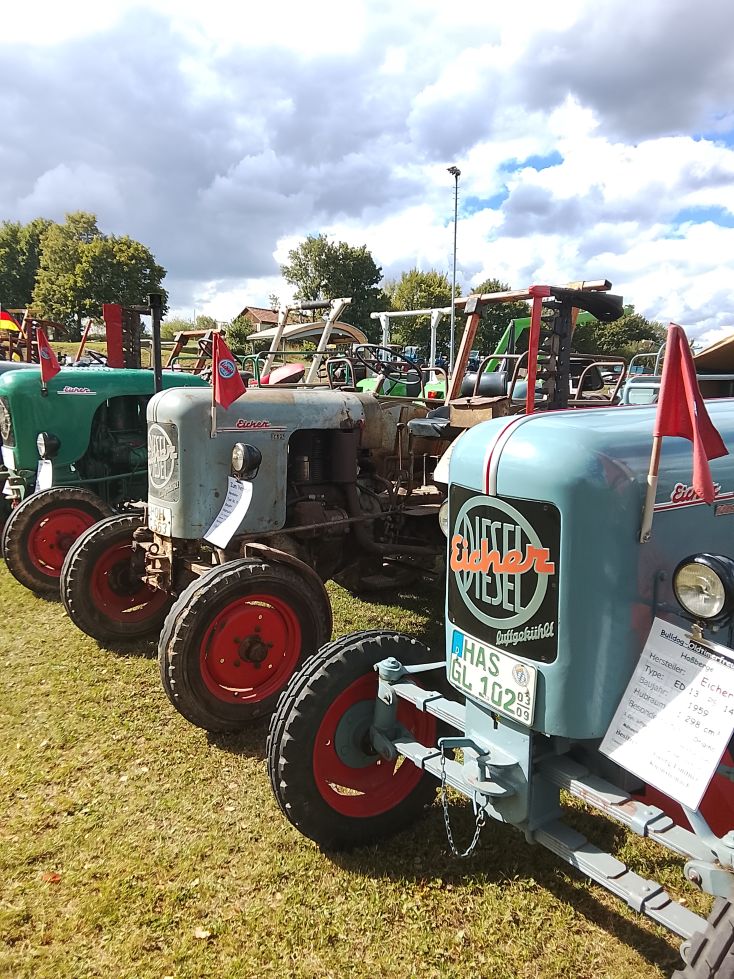 Bild Eicher