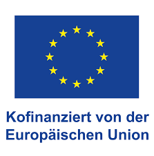ESF Plus Logo